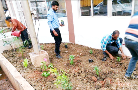 भिलाई। भिलाई इस्पात संयंत्र के ब्लास्ट फर्नेस-8 में जहाँ एक ओर तकनीकी विशेषज्ञ प्रोजेक्ट्स के कार्य को मुकाम तक ले जाने के लिये अपना सर्वोतम दे रहे है वही दूसरी ओर कुछ तकनीकी विशेषज्ञ ब्लास्ट फर्नेस-8 के आसपास पर्यावरण सरंक्षण के उद्देश्य से पोधे भी लगा रहे है।