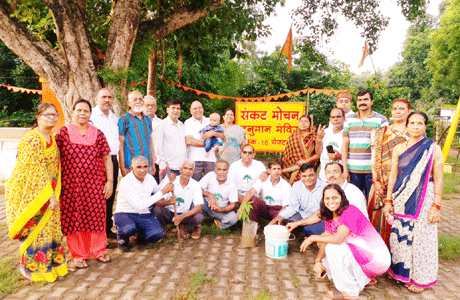 Tree Plantation