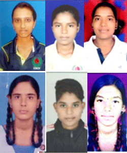cricket university