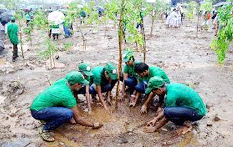 Bemetara to Plant 2 lac saplings