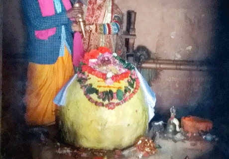 Bijli-Shankar