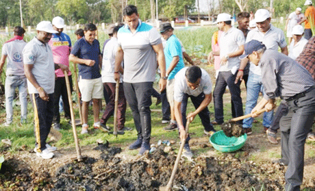 Environment Day