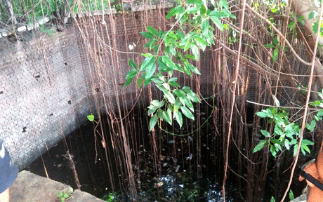 Aamdi-Baodi-03