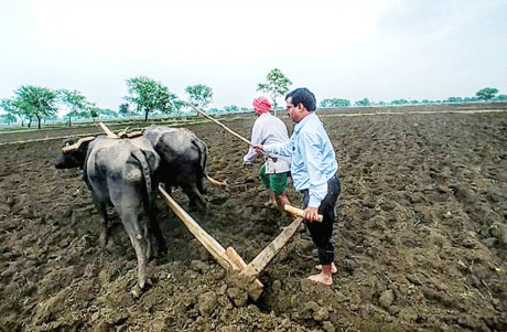 बेमेतरा। कृषि कार्य में आधुनिक बदलाव आने से अब नांगर (हल) बैल के बदले ट्रेक्टर से जुताई करने लगे है। फिर भी कहीं-कहंी खेती किसानी कार्य में अब भी हल का उपयोग किया जा रहा है। कलेक्टर महादेव कावरे 8 जुलाई को ग्रामीण क्षेत्र के दौरे पर निकले थे। इस दौरान उन्हे ग्राम खिलोरा का एक किसान सोयाबीन बोता हुआ दिखाई दिया। उन्होंने अपना वाहन रूकवाया और खेत में जा पहुंचे। खिलोरा निवासी किसान दशरथ साहू उस वक्त हल चला रहे थे। कलेक्टर ने भी हल चलाने की इच्छा जाहिर की और दशरथ साहू से हल की पड़की (मुठ) पकड़कर खेत की जुताई की। इससे उन्हें अपना बचपन भी याद आ गया।