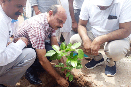 भिलाई। पतंजलि योग समिति एवं भारत स्वाभिमान न्यास जिला दुर्ग द्वारा शिक्षा विभाग दुर्ग के सहयोग से दुर्ग जिले के 70 स्कूलों का चयन कर उन कैंपस में 5000 पौधों का रोपण ट्री गार्ड के साथ करने का निर्णय लिया है। इस कार्यक्रम के तहत पतंजलि योग समिति इन स्कूलो तक ट्री गार्ड व पौधे स्वयं पहुंचाएगी स्कूल प्रशासन व पतंजलि योग समिति के सदस्य योजना बनाकर इन पौधों की संरक्षण की जिम्मेदारी स्कूल के बच्चों के साथ मिलकर निभाएंगे। बच्चों को वृक्षा रोपण के प्रति जागरूक करने का प्रयास भी किया जा रहा है।