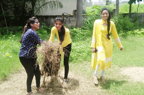 भिलाई। एमजे कालेज की एनएसएस इकाई ने दो सप्ताह तक महाविद्यालय परिसर के साथ साथ संलग्न आवासीय कालोनियों में स्वच्छता अभियान चलाया तथा रैली निकालकर लोगों को स्वच्छता के प्रति जागरूक भी किया। इसके बाद खाली हुए स्थानों पर पौधरोपण कर पर्यावरण संरक्षण की दिशा में भी सफल प्रयास किए। एनएसएस की सहायक अधिकारी शकुंतला जलकारे के नेतृत्व में विद्यार्थियों ने आज महाविद्यालय परिसर से खरपतवार हटाए तथा फलों के पेड़ लगाए।