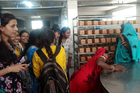 दुर्ग। भारतीय उद्यमिता विकास संस्थान, अहमदाबाद के माध्यम से विज्ञान एवं प्रौद्योगिकी विभाग, भारत शासन, नई दिल्ली द्वारा प्रवर्तित तीन दिवसीय उद्यमिता जागरूकता शिविर का सफलतापूर्वक आयोजन छत्तीसगढ़ इण्डस्ट्रियल एण्ड टेक्नीकल कंसल्टेंसी सेंटर (सिटकॉन), रायपुर (सिटकॉन) द्वारा शास. डॉ. वा.वा. पाटणकर कन्या स्ना. महाविद्यालय के कौशल विकास केन्द्र के और जिला व्यापार एवं उद्योग केंद्र के मार्गदर्शन में विज्ञान एवं तकनीकी विषयों की छात्राओं को उद्यमिता के क्षेत्र से परिचित कराने हेतु किया गया।