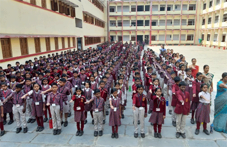 Constitution Day celebrated at DAV Ispat Public School