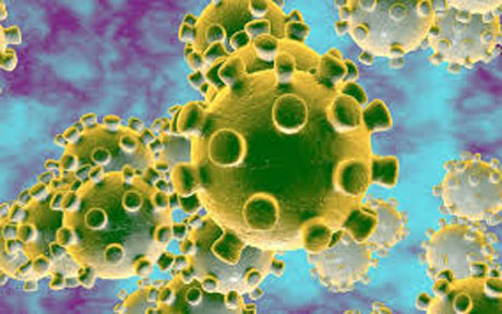 Corona Virus claims 9 lives