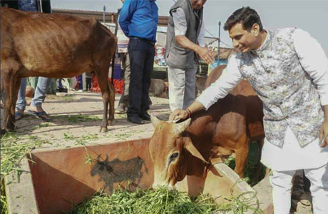 CG Government to procure cow dung from this Hareli