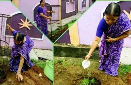 Tree Plantation Collage from Patankar Girls College
