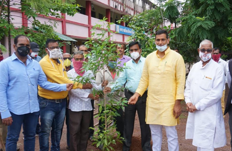 Hariyar Bhilai Tree Plantation