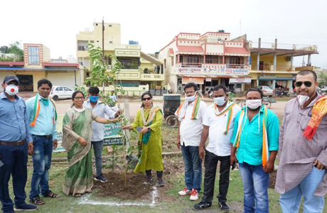 Press Club Tree Plantation