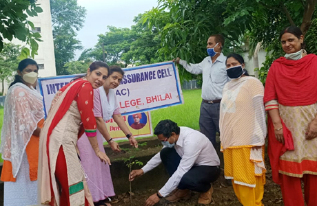Tree Plantation at MJ College