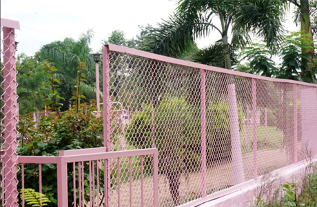Municipality to develop pink gardens in Bhilai exclusively for women
