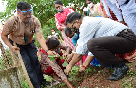 Tree plantation week at Durg Science College