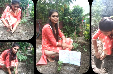 Tree Plantation Collage