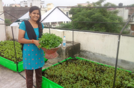 Roof Top Farming