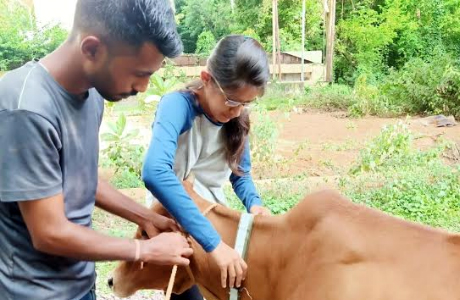 Animal saver group Bhilai