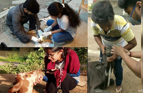 Animal Savers Bhilai