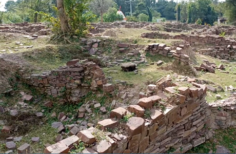 2500 old remains unearthed in Tarighat