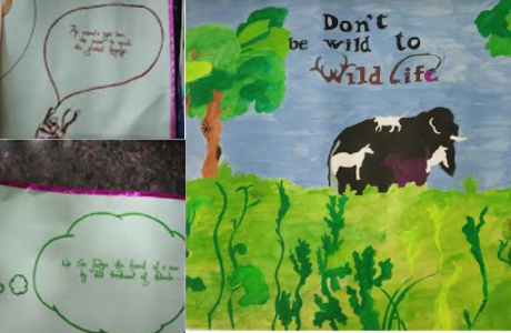 Poster competition on Wild Life Protection