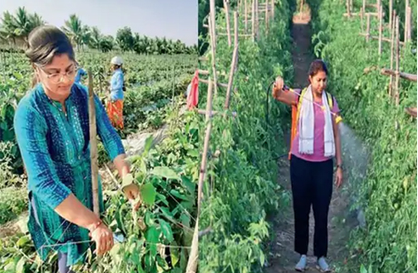 Techie ditches corporate to take up farming