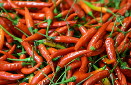Surguja farmers export chilli to Dubai Shrilanka