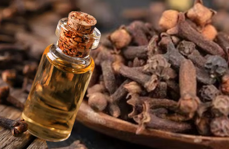 Magical Benefits of Clove explained