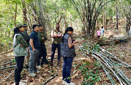 Forest becomes a source of livehood as maoist insurgency takes a backfoot in Bastar