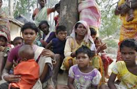 Pahadi Korwa and Birhor are yet to receive decent livelihood