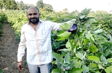 Vegetable farming brings smile & profits to farmers