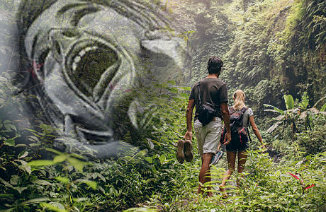 Instagram friend taken to jungle, raped and filmed