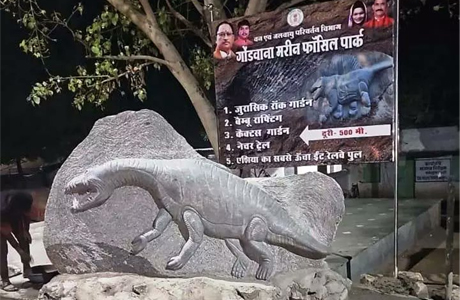 Murergarh hill station in Bharatpur