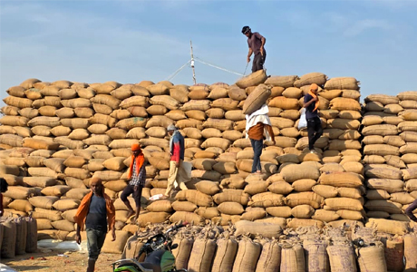 Paddy procurement in full swing in Surajpur Chhattisgarh