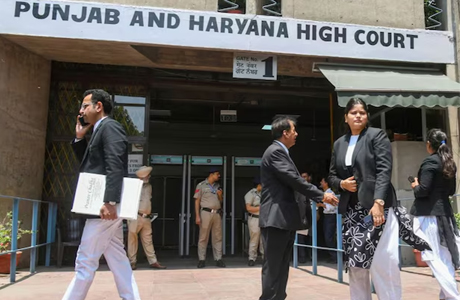 Why mothers try to protect their rapist sons?