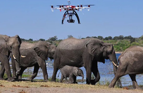 Thermal tracking of elephants save lives in Chhattisgarh