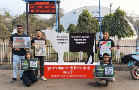 दूध उत्पादन में भारत अव्वल तो बीफ निर्यात में भी शीर्ष पर