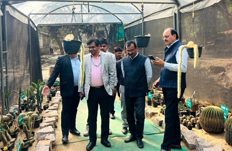 हसदेव के गोंडवाना मरीन फॉसिल्स पार्क को मिलेगी राष्ट्रीय पहचान