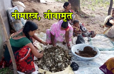 कम लागत में अधिक मुनाफा दिला रहे जीवामृत और नीमास्त्र