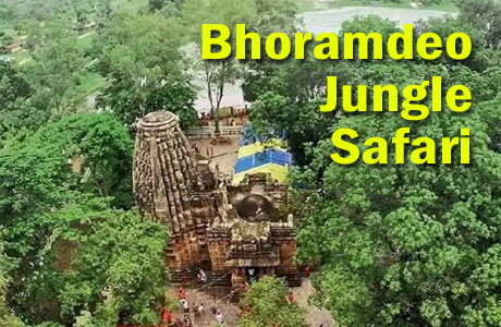 छत्तीसगढ़ के खजुराहो "भोरमदेव" में भी शुरू होगी जंगल सफारी