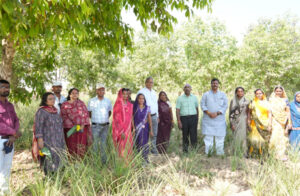 छत्तीसगढ़ को हर्बल ग्रोथ इंजन बनाने के प्रयास तेज : मरकाम