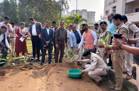 हाइड्रोपोनिक्स से टेरेस गार्डन को मिल रही नई दिशा