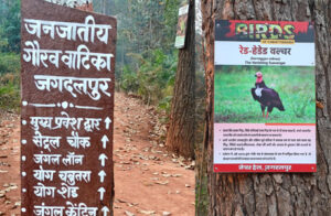 गार्बेज से गौरव तक: डंपिंग ग्राउंड से बनी ‘जनजातीय गौरव वाटिका’