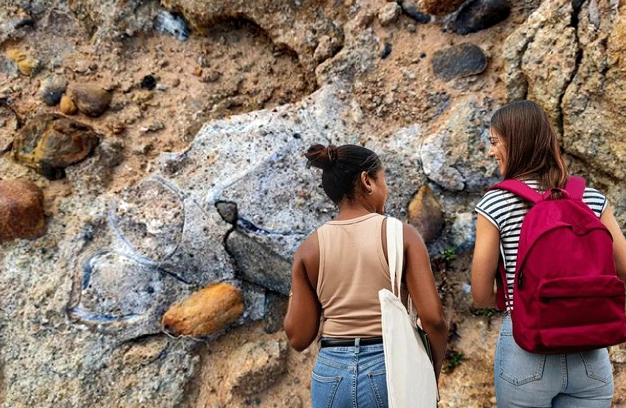 29 करोड़ वर्ष प्राचीन जीवाश्मों को देख रोमांचित हुए शोधार्थी