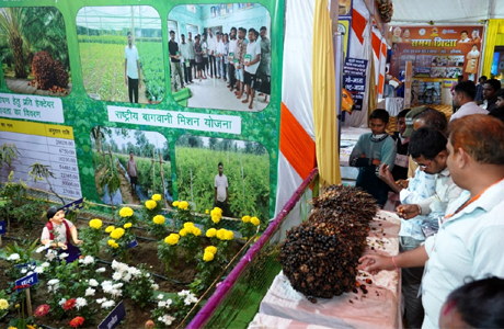 राजिम कुंभ में आधुनिक खेती का संदेश, पाम फल बना आकर्षण का केंद्र