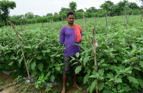 उद्यानिकी विकास : उन्नत खेती से तखतपुर के किसानों की बढ़ी कमाई