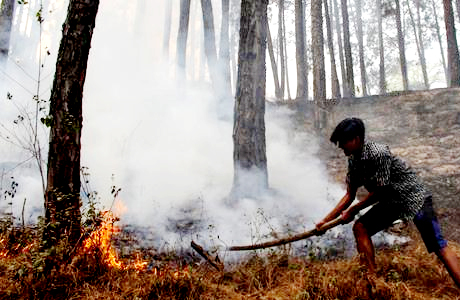 जंगल में लपटें देखीं तो आग बुझाने कूद पड़े दो नन्हें बालक
