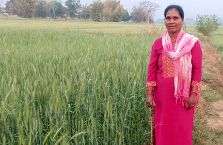 नीम तेल और जड़ी-बूटियों से बनाया कीटनाशक, अनिमा बनी प्रेरणा