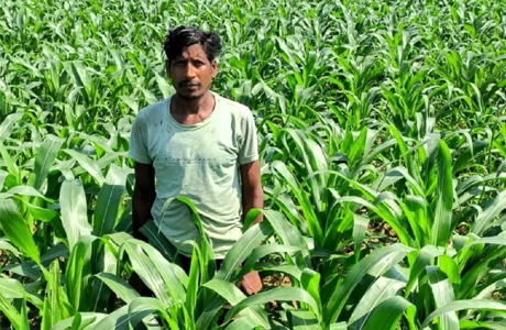 धान के बजाय मक्का से बढ़ा मुनाफा : मालती मोहन बने उन्नत खेती की मिसाल